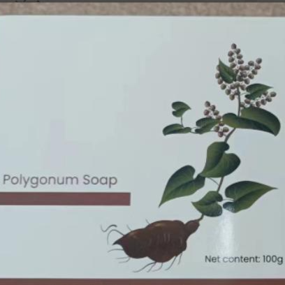 Natural Shampoo Soap Bar with Botanical Ingredients